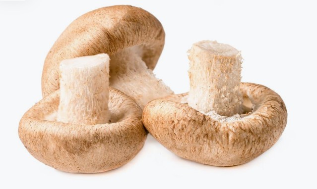 Champiñones
