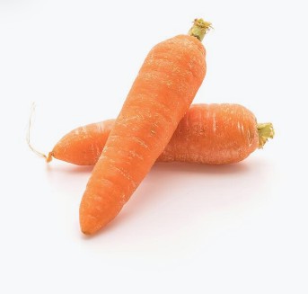 Zanahoria